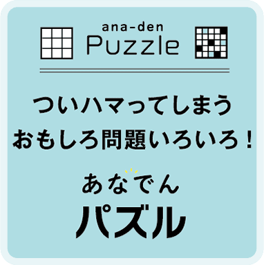 ana-den Puzzle ついハマってしまうおもしろ問題いろいろ! あなでんパズル