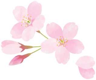 桜
