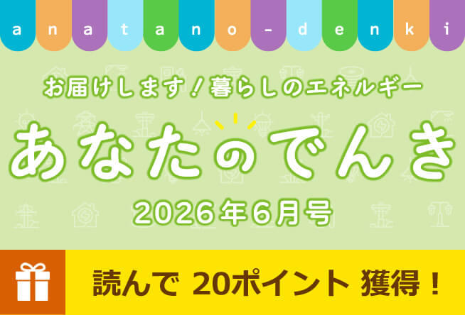 初夏の『多いのはどっち派？』選手権を開催！