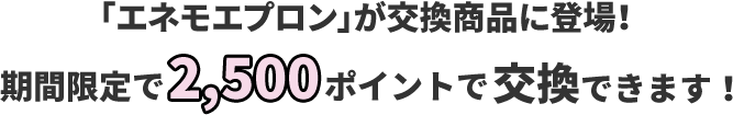 「エネモエプロン」が交換商品に登場！期間限定で2,500ポイントで交換できます！