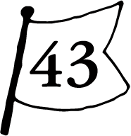 31