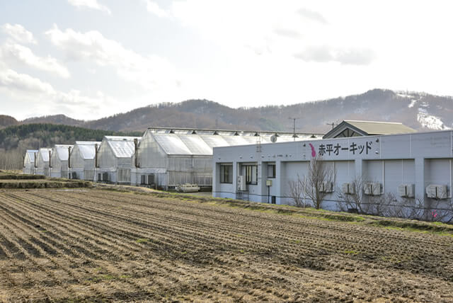 赤平オーキッド　店舗外観