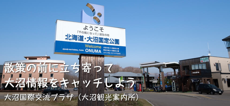 散策の前に立ち寄って 大沼情報をキャッチしよう【大沼国際交流プラザ（大沼観光案内所）】