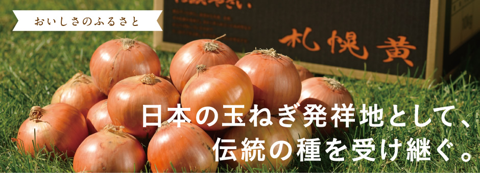 【おいしさのふるさと】日本の玉ねぎ発祥地として、伝統の種を受け継ぐ。