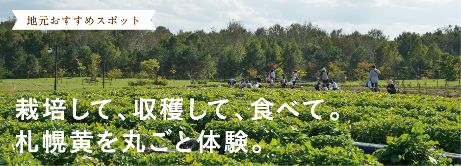 【地元おすすめスポット】栽培して、収穫して、食べて。札幌黄を丸ごと体験。