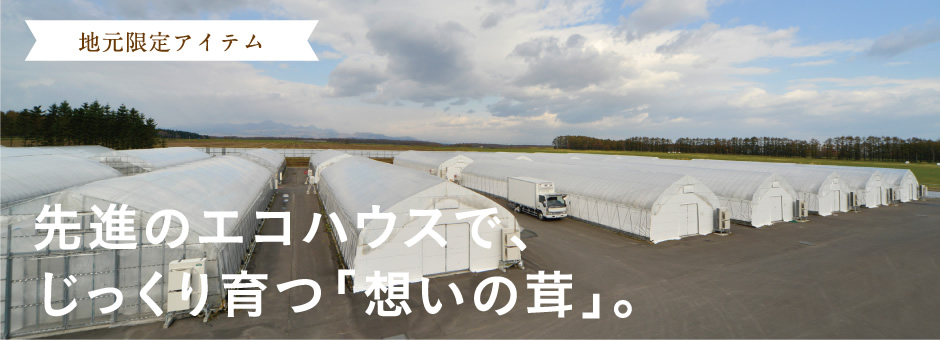 【地元限定アイテム】先進のエコハウスで、じっくり育つ「想いの茸」。