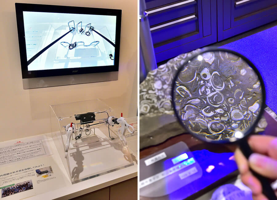 医学部の内視鏡外科手術の練習用マシン（左）と動植物の標本などを手に取り自由に観察できる「感じる展示室」（右）