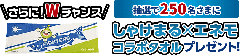 ＼さらに！Wチャンス／ 抽選で250名さまにしゃけまる×エネモコラボタオルプレゼント！