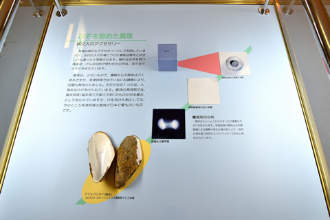 日本最古の穴あき真珠