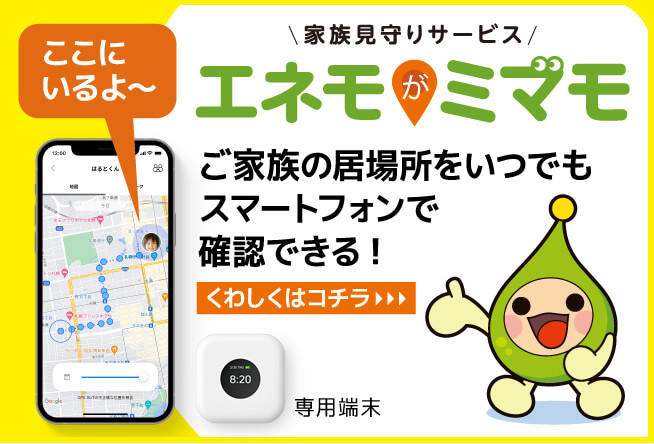 お子さまや離れて暮らすご家族の見守りに！