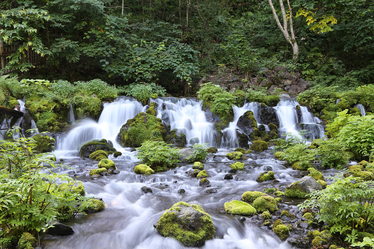 京極ふきだし公園