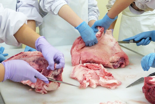 旭川農業高等学校の食品科学科肉加工班の生徒のみなさんが行う旭高砂牛の切り分けの様子