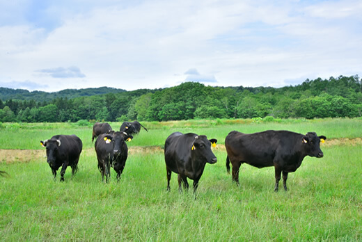 月形町で生産される黒毛和牛