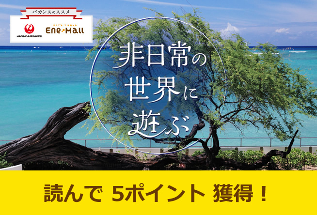 バカンスのススメ 非日常の世界に遊ぶ vol.1