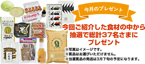 【今月のプレゼント】