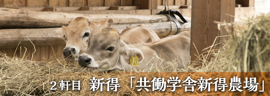２軒目 新得「共働学舎新得農場」