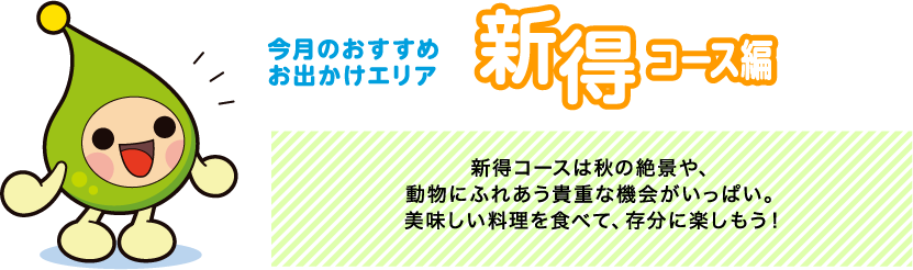 【今月のおすすめお出かけエリア新得コース編】新得コースは秋の絶景や、動物にふれあう貴重な機会がいっぱい。美味しい料理を食べて、存分に楽しもう！