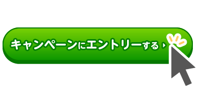 キャンペーンにエントリーする