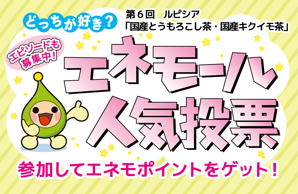 どっちが好き？エネモール人気投票　第6回 ルピシア「国産とうもろこし茶・国産キクイモ茶」　参加してエネモポイントをゲット！　エピソードも募集中！