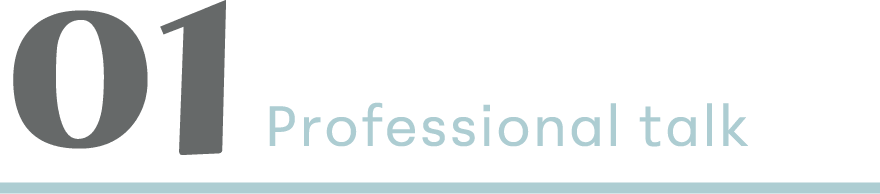 01 Professional talk