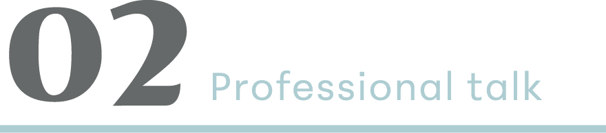02 Professional talk