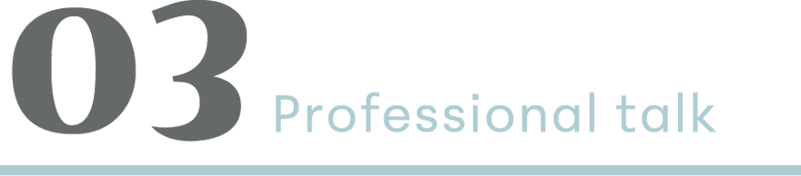 03 Professional talk