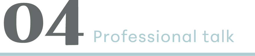 04 Professional talk