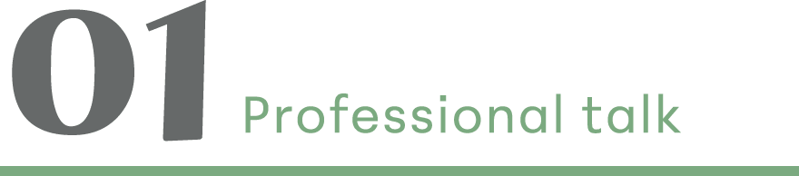 01 Professional talk