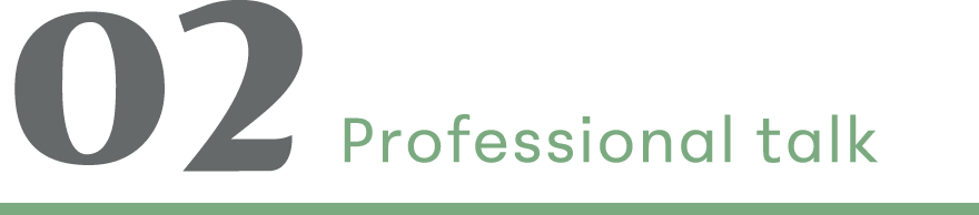02 Professional talk