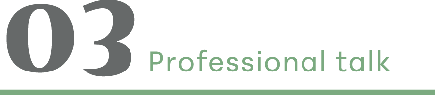 03 Professional talk