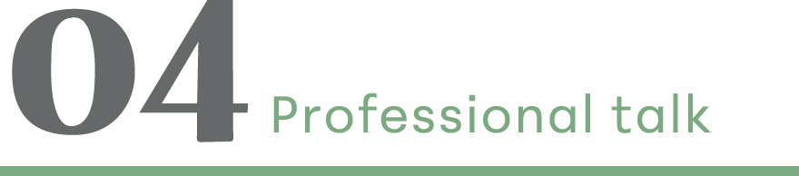 04 Professional talk