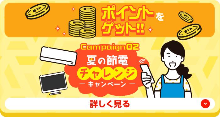 ポイントをゲット!!Campaign02 夏の節電チャレンジ - キャンペーン -【詳しく見る】