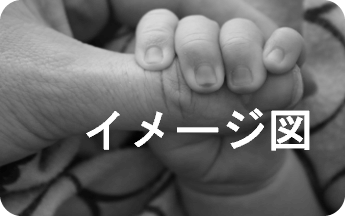サンプルイメージ
