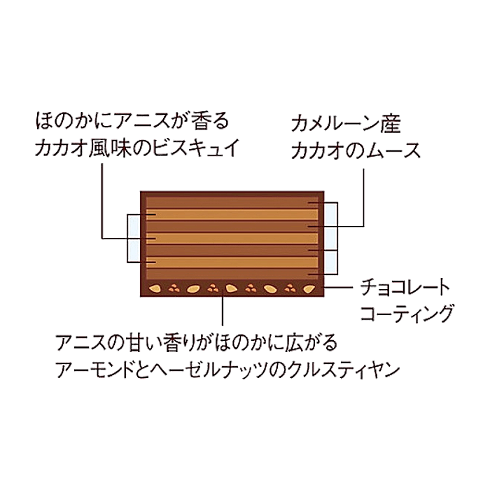 ジャン＝ポール・エヴァン　ビュッシュ エヌコロサン　断面図