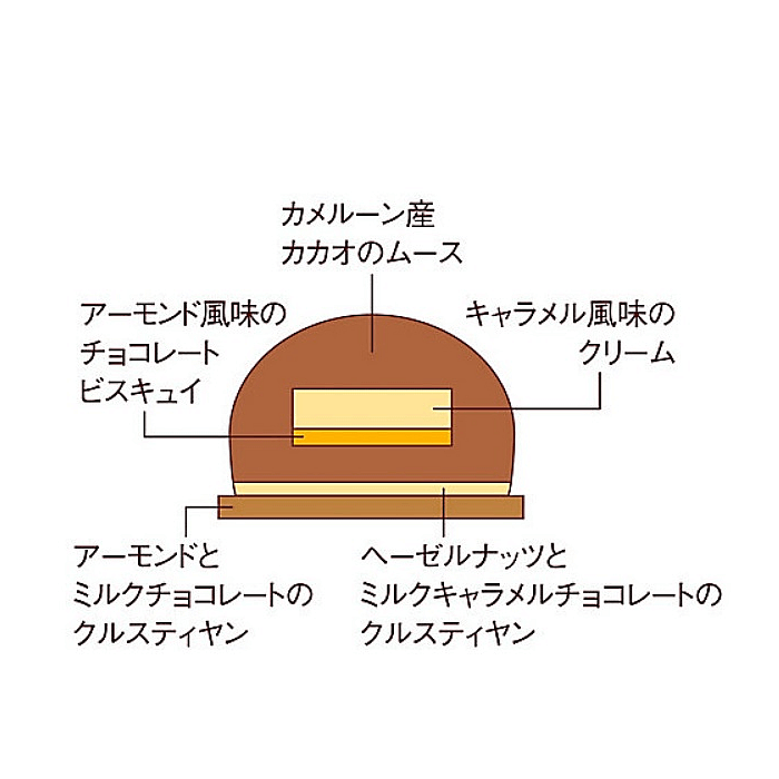 ジャン＝ポール・エヴァン　ビュッシュ レクレ　断面図