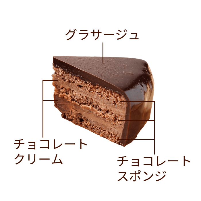 十勝トテッポ工房　ロイヤルザッハトルテ　断面図